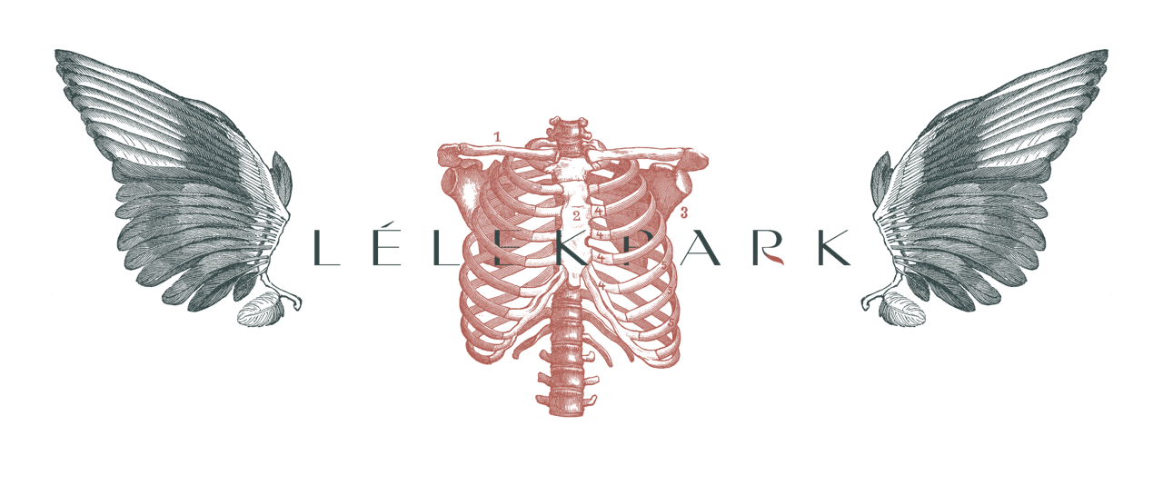 Lélekpark title artwork with wings and a rib cage